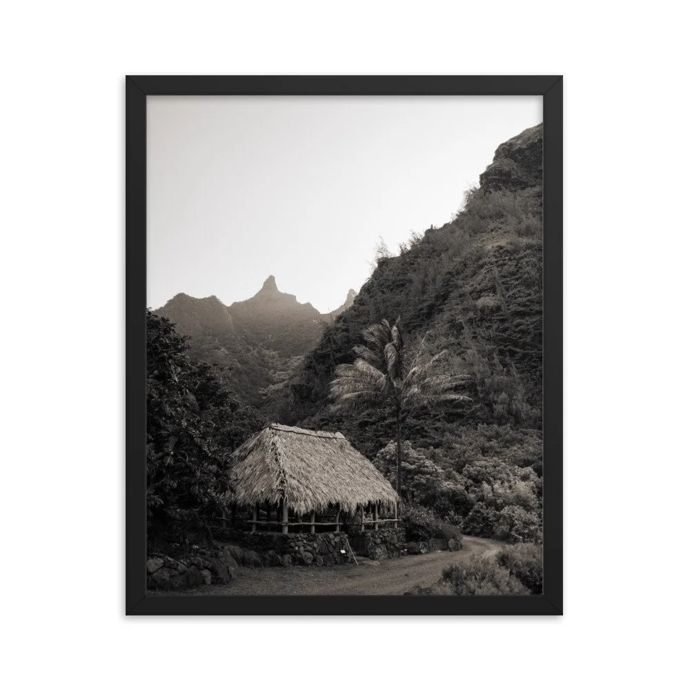 enhanced-matte-paper-framed-poster-(in)-black-16x20-transparent-63fc599fe82b0.jpg