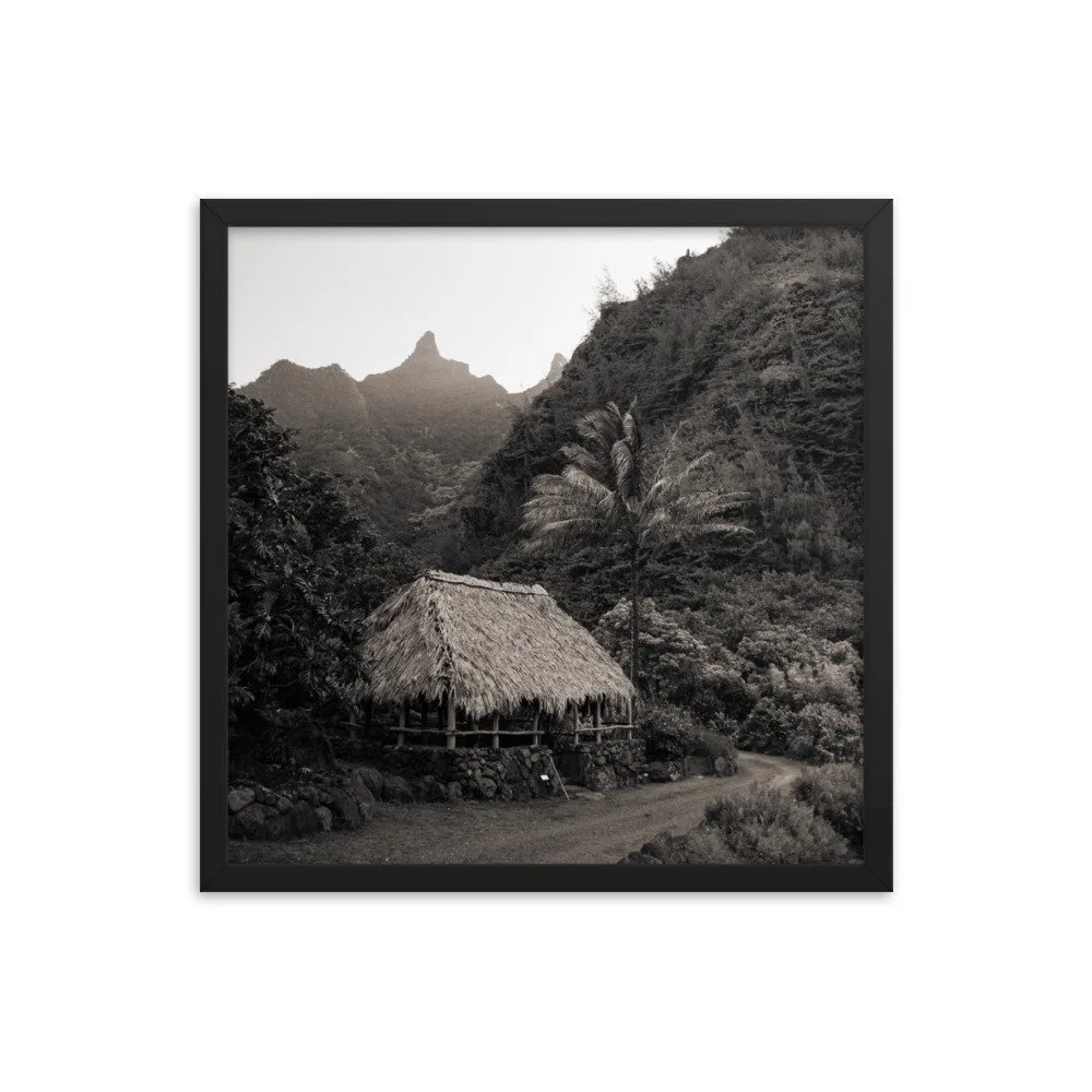 enhanced-matte-paper-framed-poster-(in)-black-18x18-transparent-63fc599fe837b.jpg
