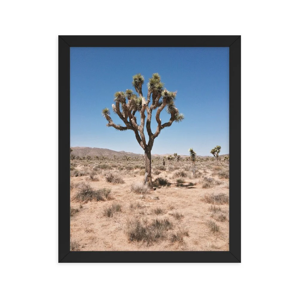 premium-luster-photo-paper-framed-poster-(in)-black-11x14-transparent-63fc5f859b36a.jpg