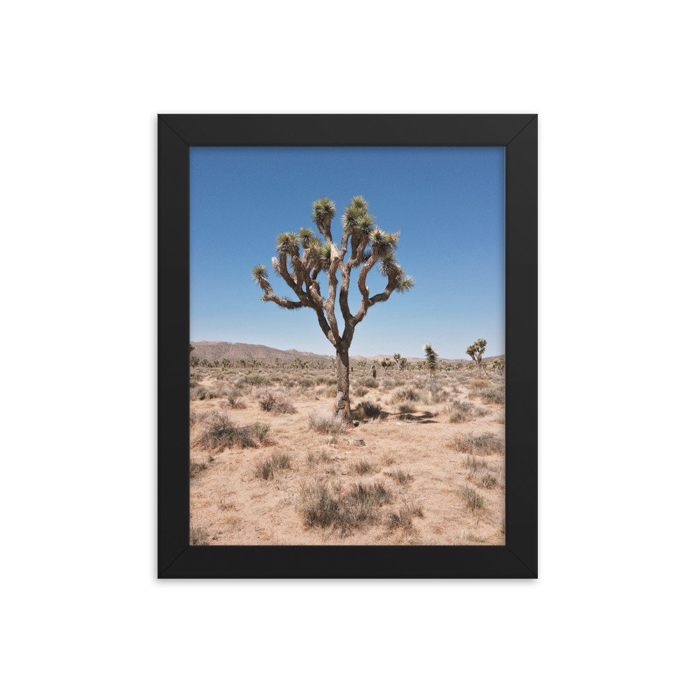 premium-luster-photo-paper-framed-poster-(in)-black-8x10-transparent-63fc5f859eb27.jpg