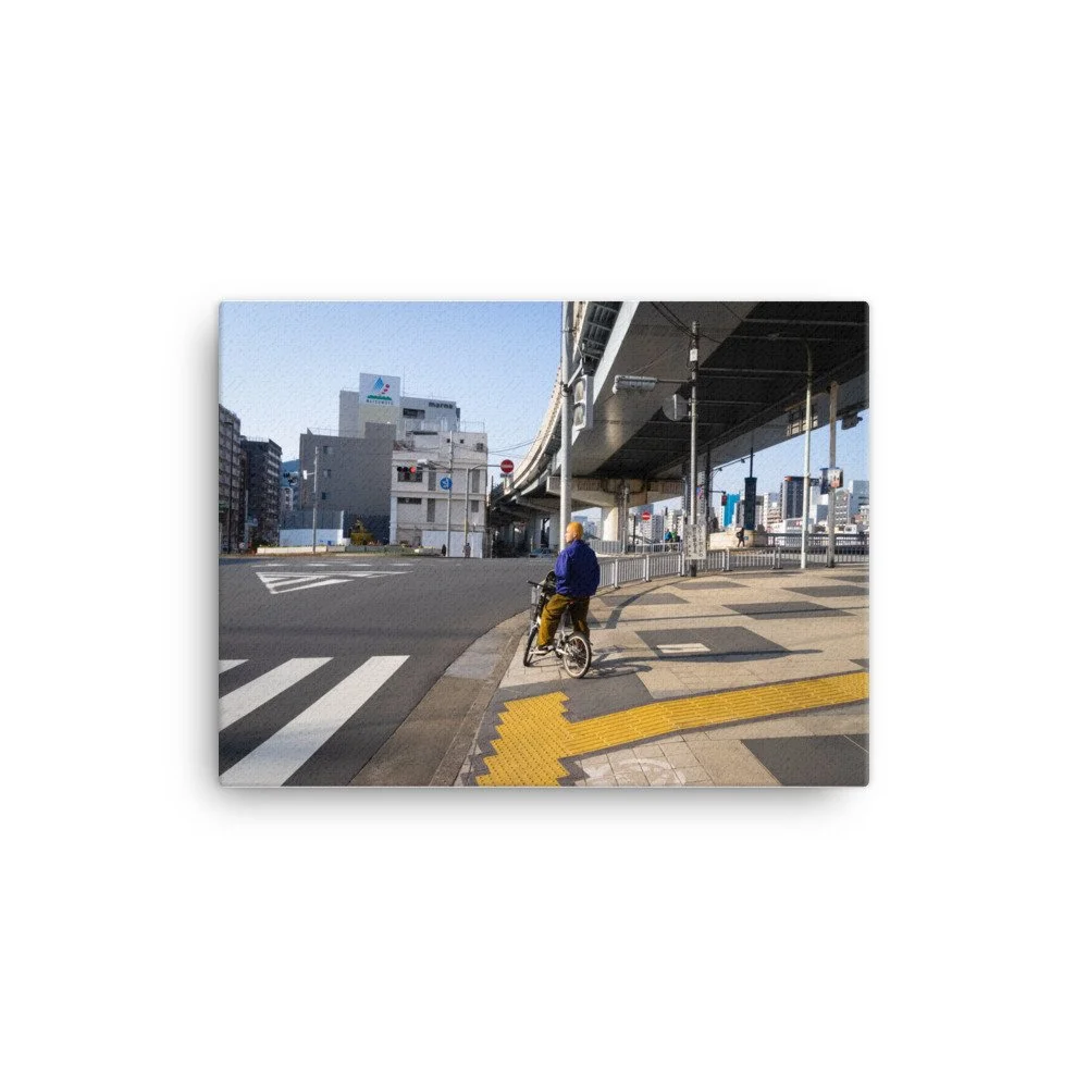 canvas-(in)-12x16-wall-6446d3b75747b.jpg