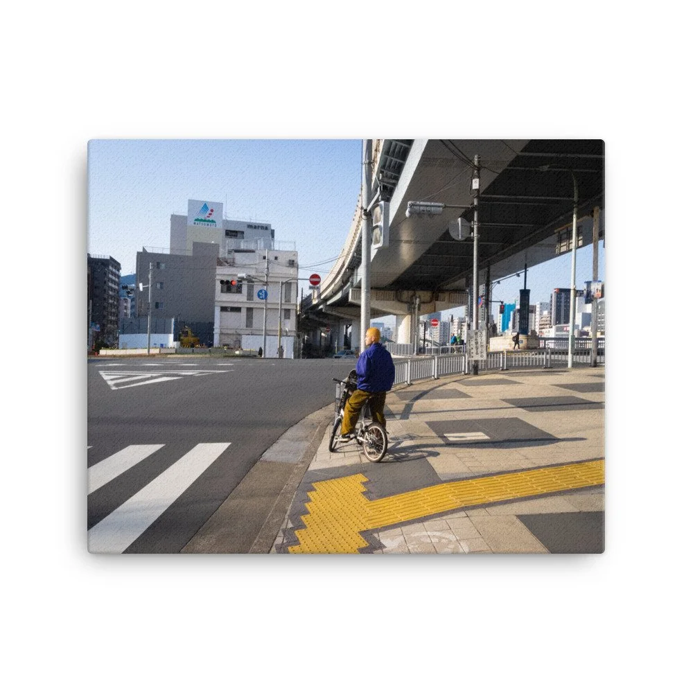 canvas-(in)-16x20-wall-6446d3b757588.jpg