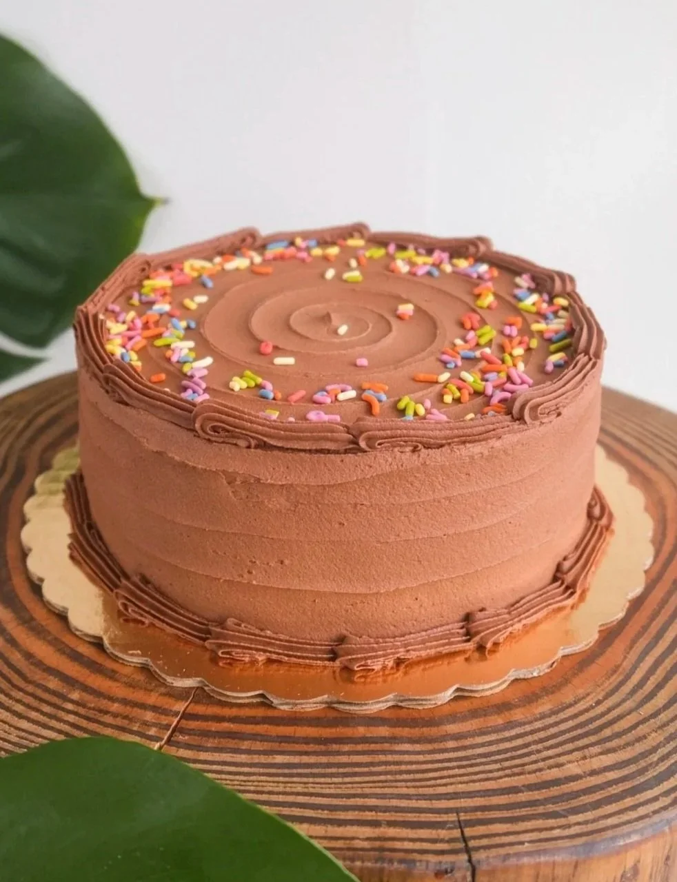 Vanilla chocolate cake