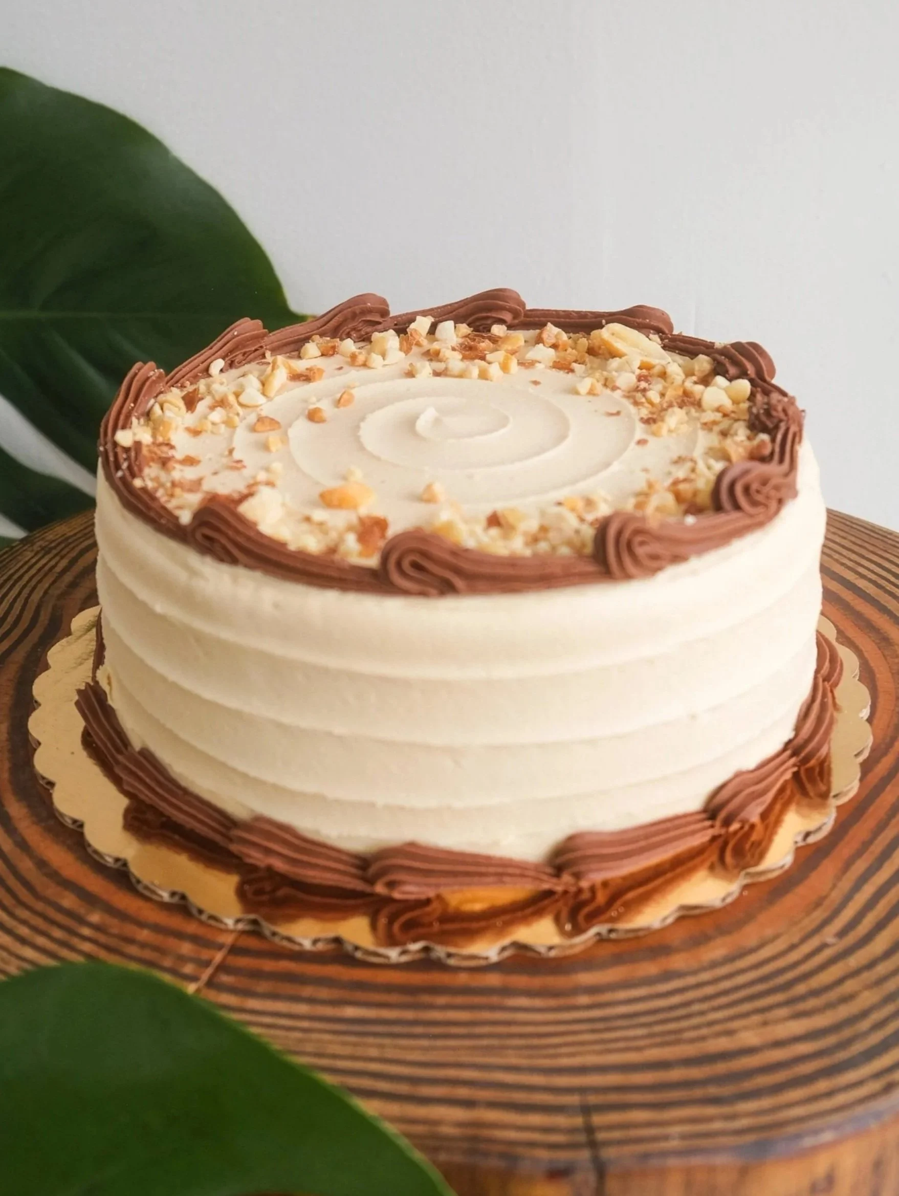 Chocolate peanut butter cake