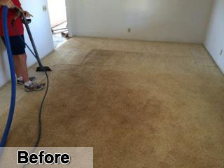 Barclay's Carpet Care - Before & After Photos