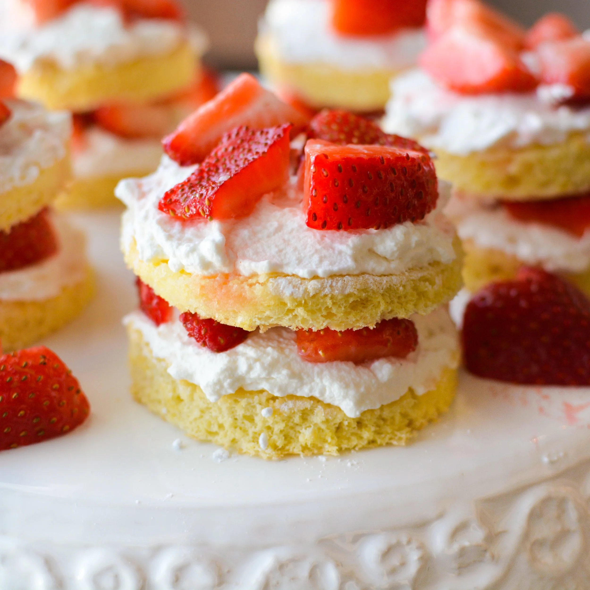 Sugared Lemon Sponge Cake with Strawberries and Whipped Cream