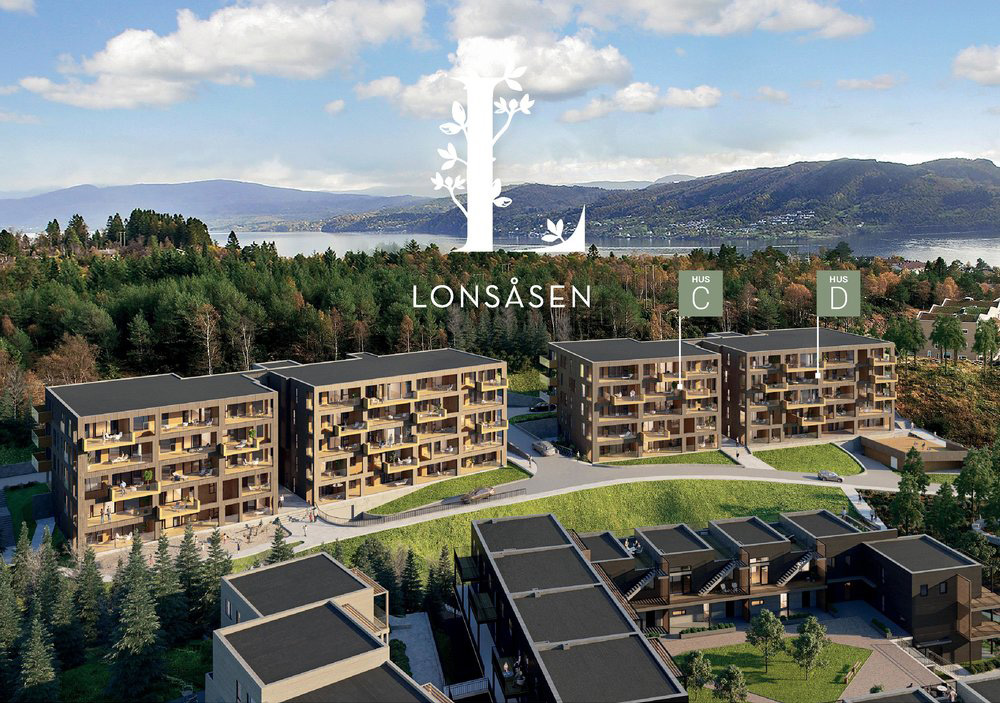 lonsåsen.jpg