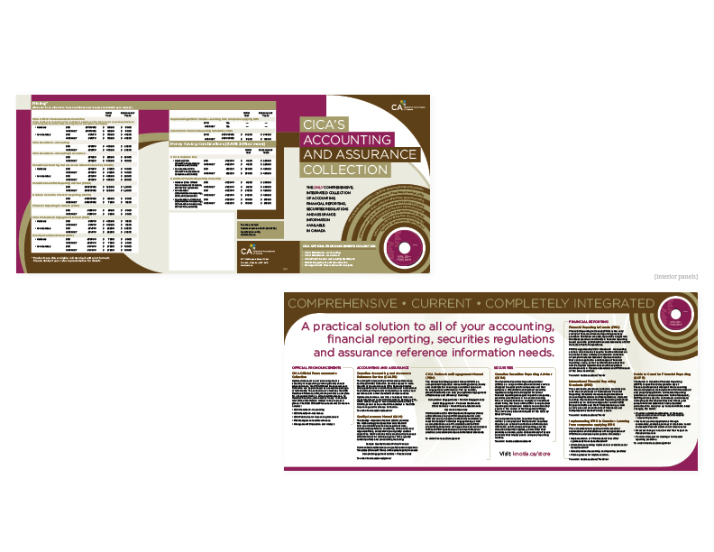   Accounting and Assurance brochure  25.5” x 11” 6-panel, 2-fold promo&nbsp;piece&nbsp;[interior and exterior panels] —&nbsp;art direction/graphics/layout&nbsp; 