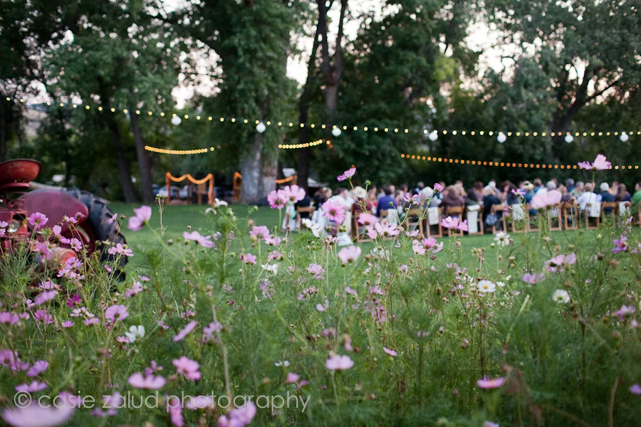 ©Casie Zalud Photographer-Eat at The Lyons Farmette-00082.jpg