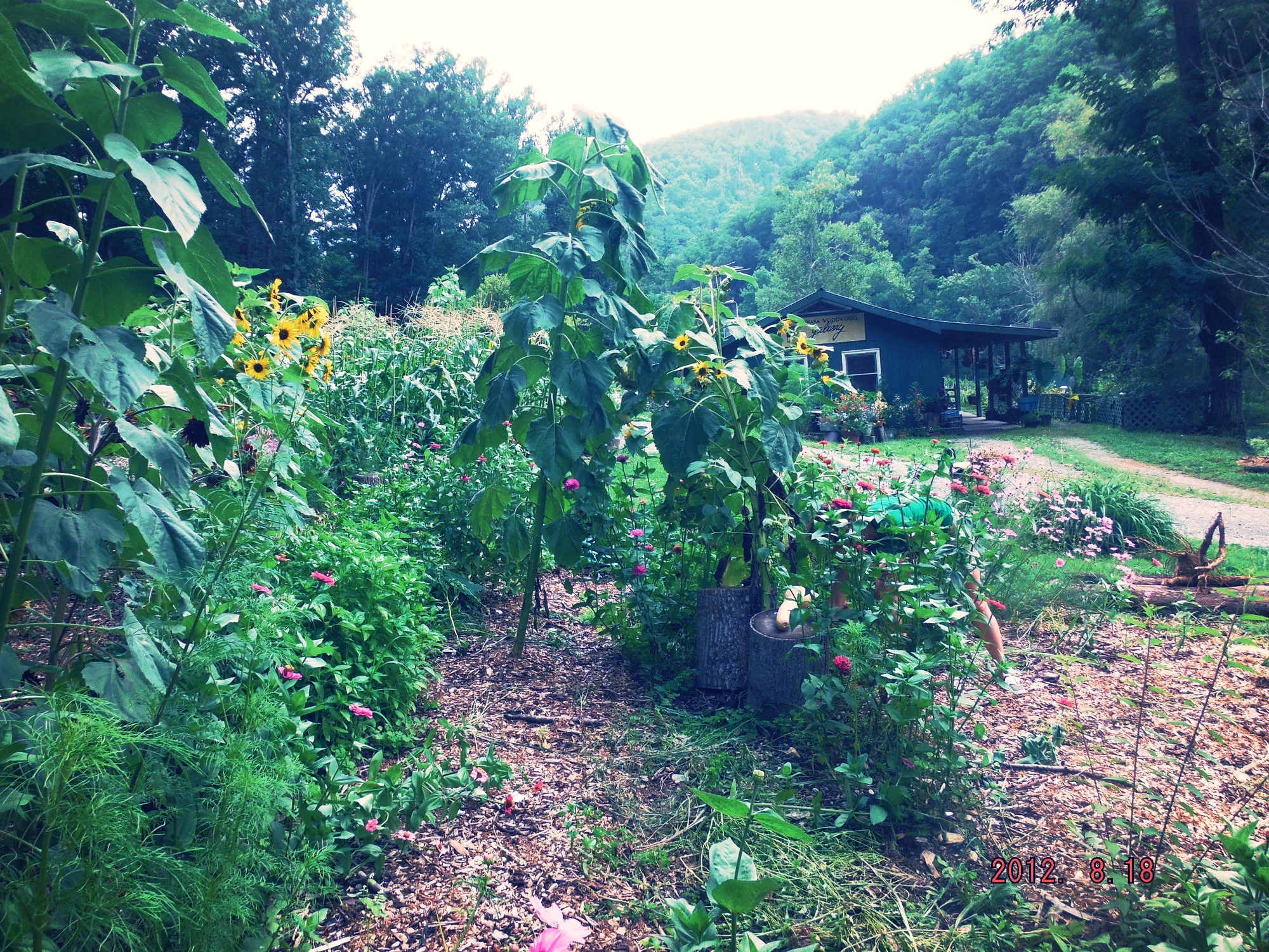Gardens and workshop