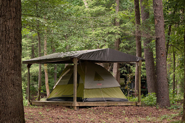 One of the tent platforms in the forest