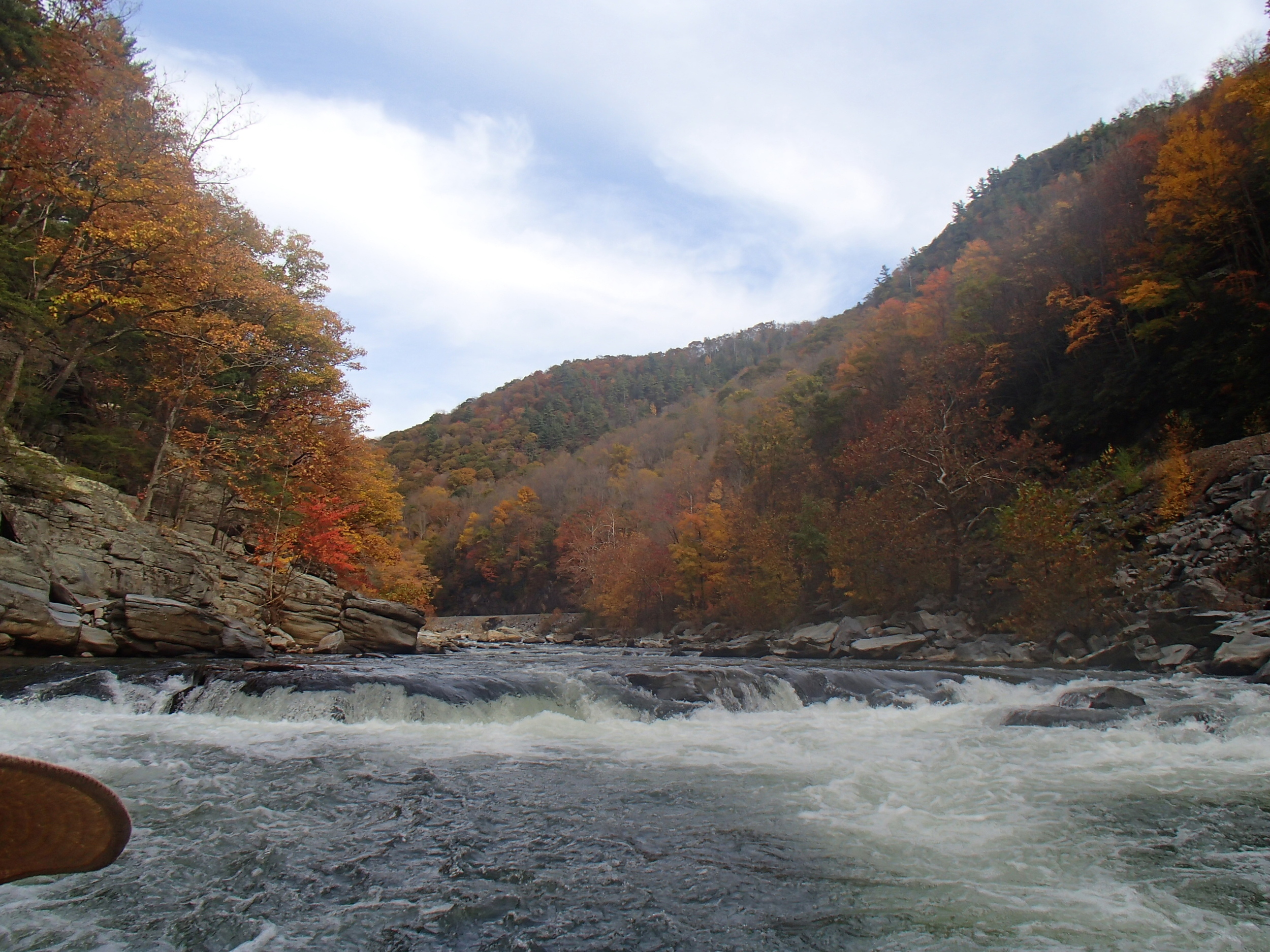 Fall colors in the gorge