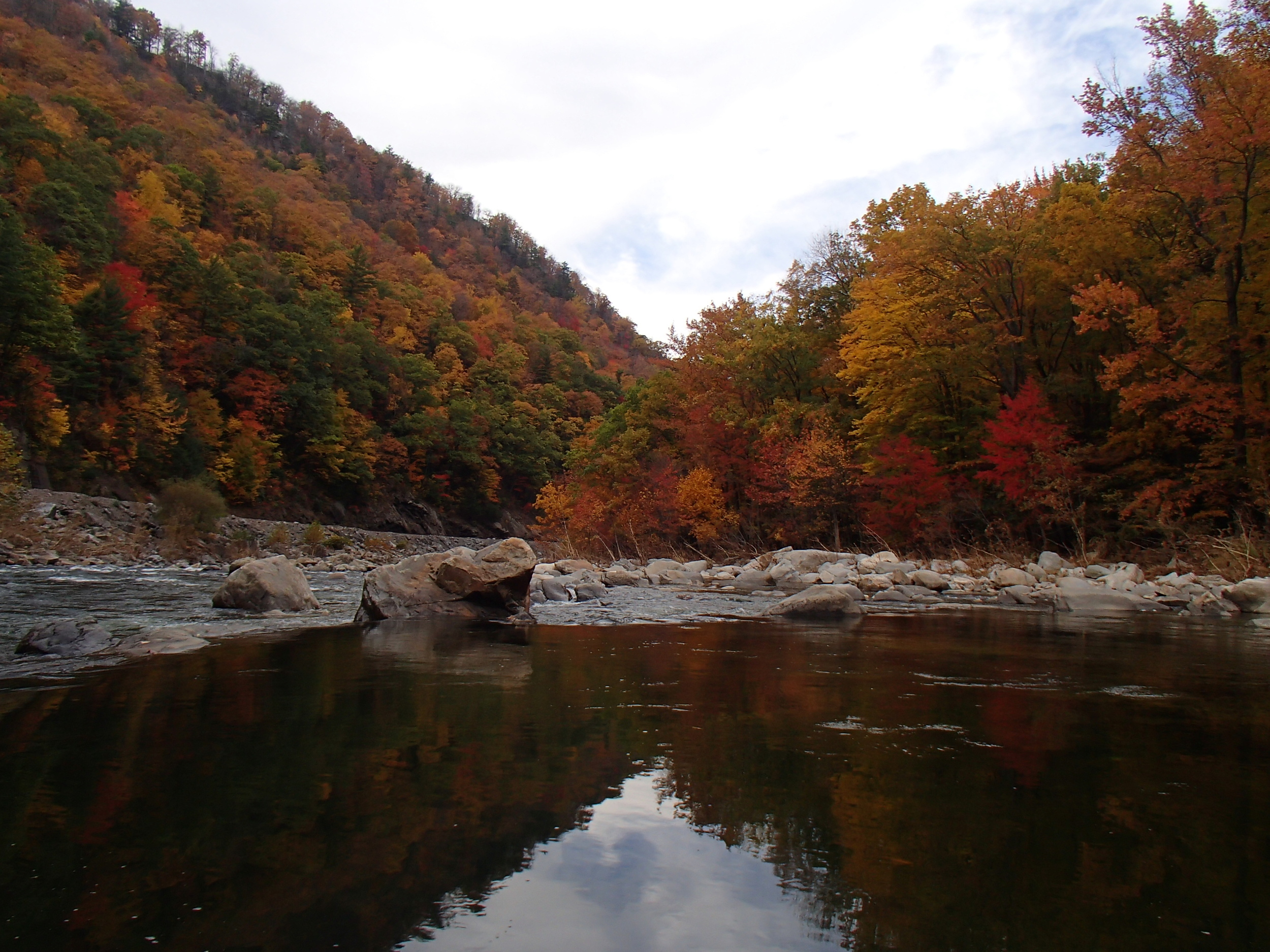 Some still water in the gorge