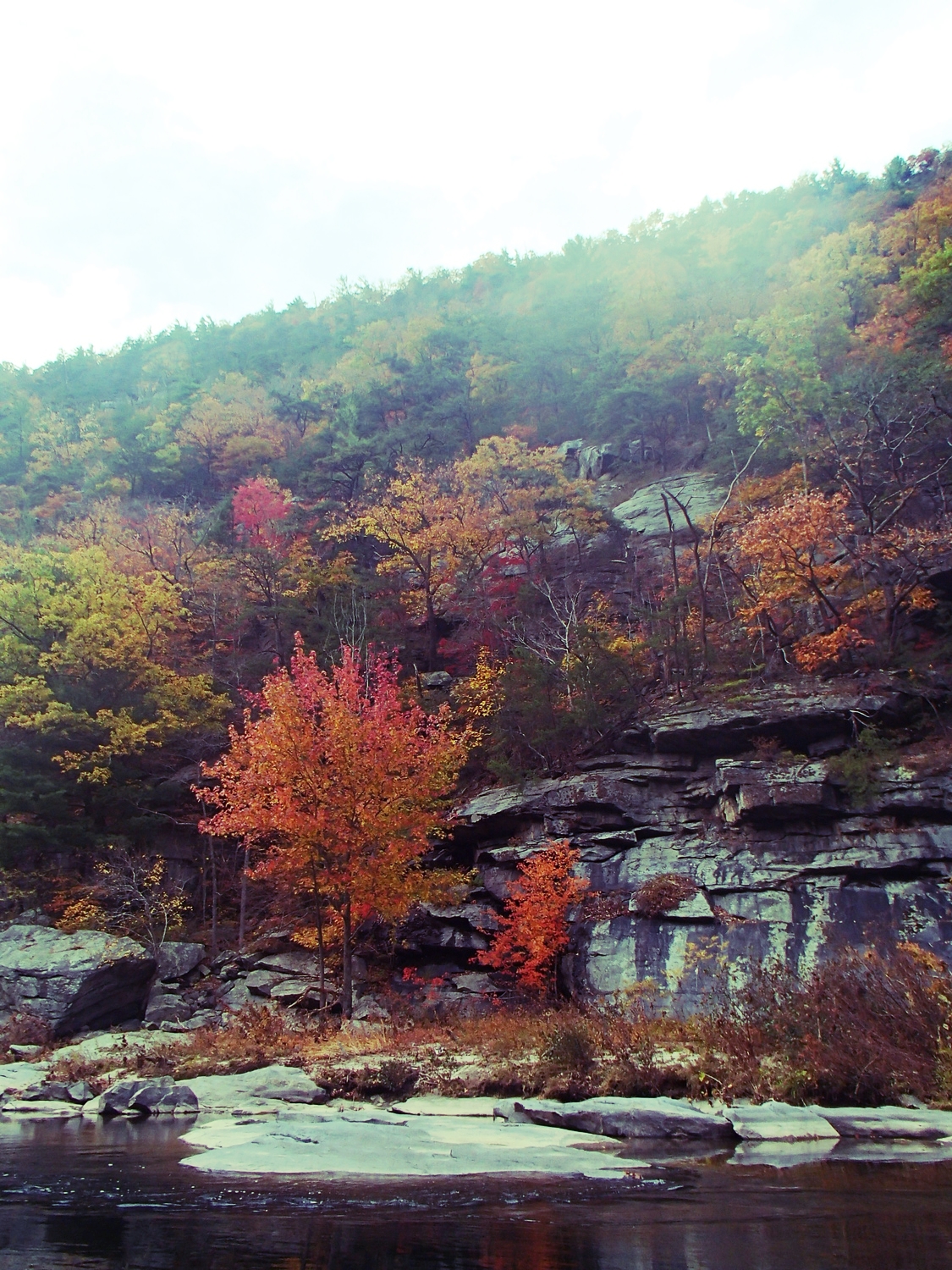 Fall colors in the gorge