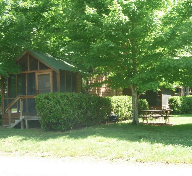 Cozy Cabin 1 yard and picnic table