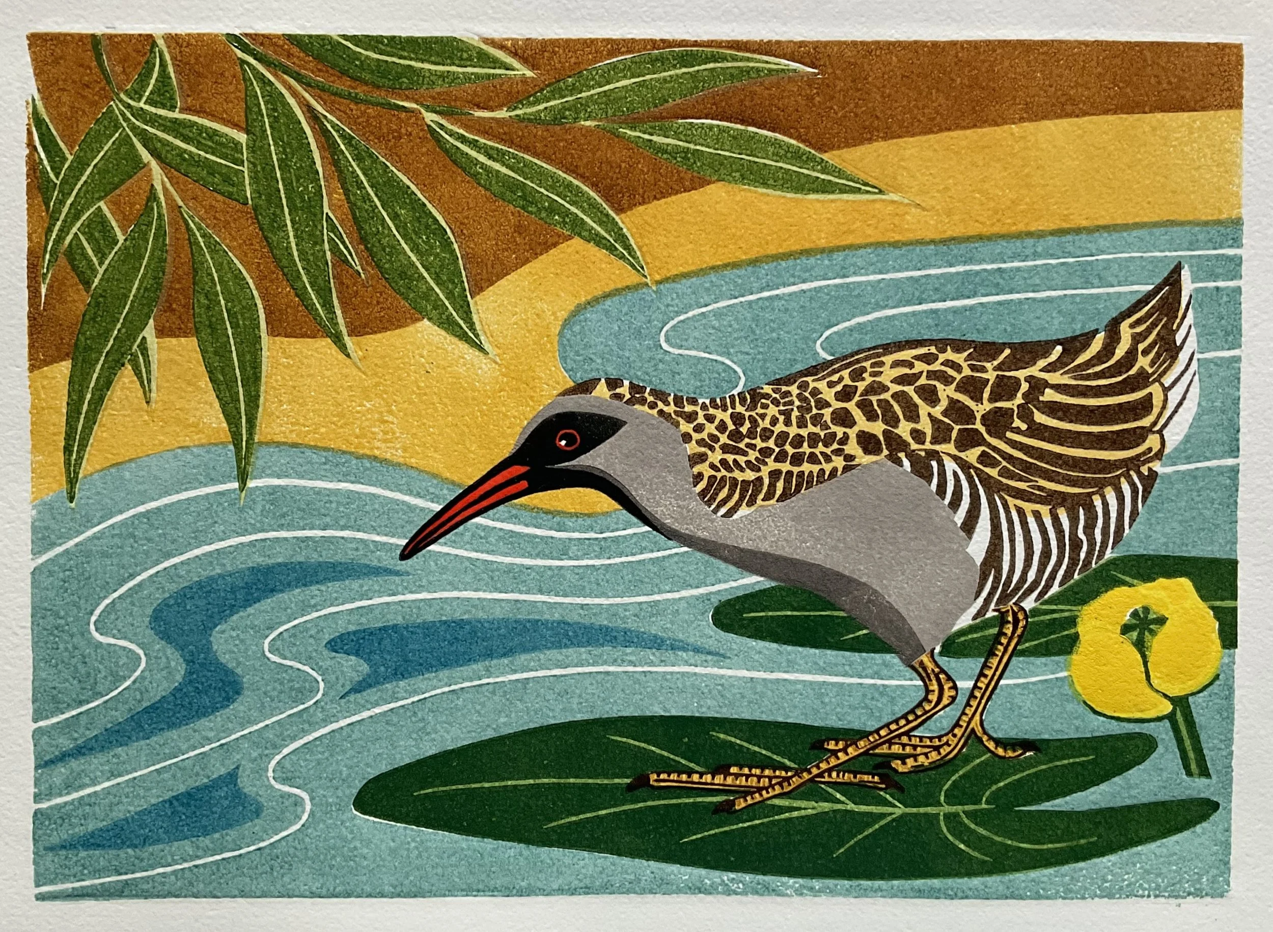 Water Rail (linocut).jpeg
