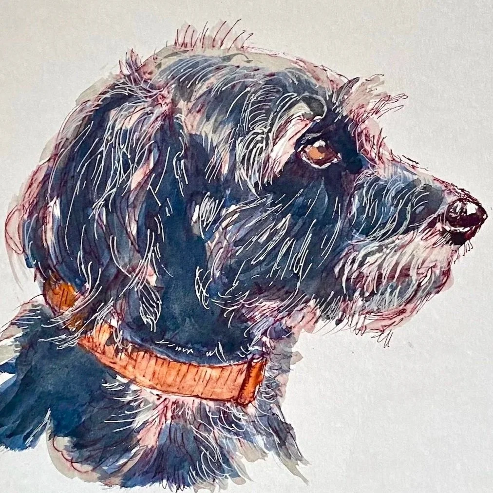 Expressive Animals- Pen and wash