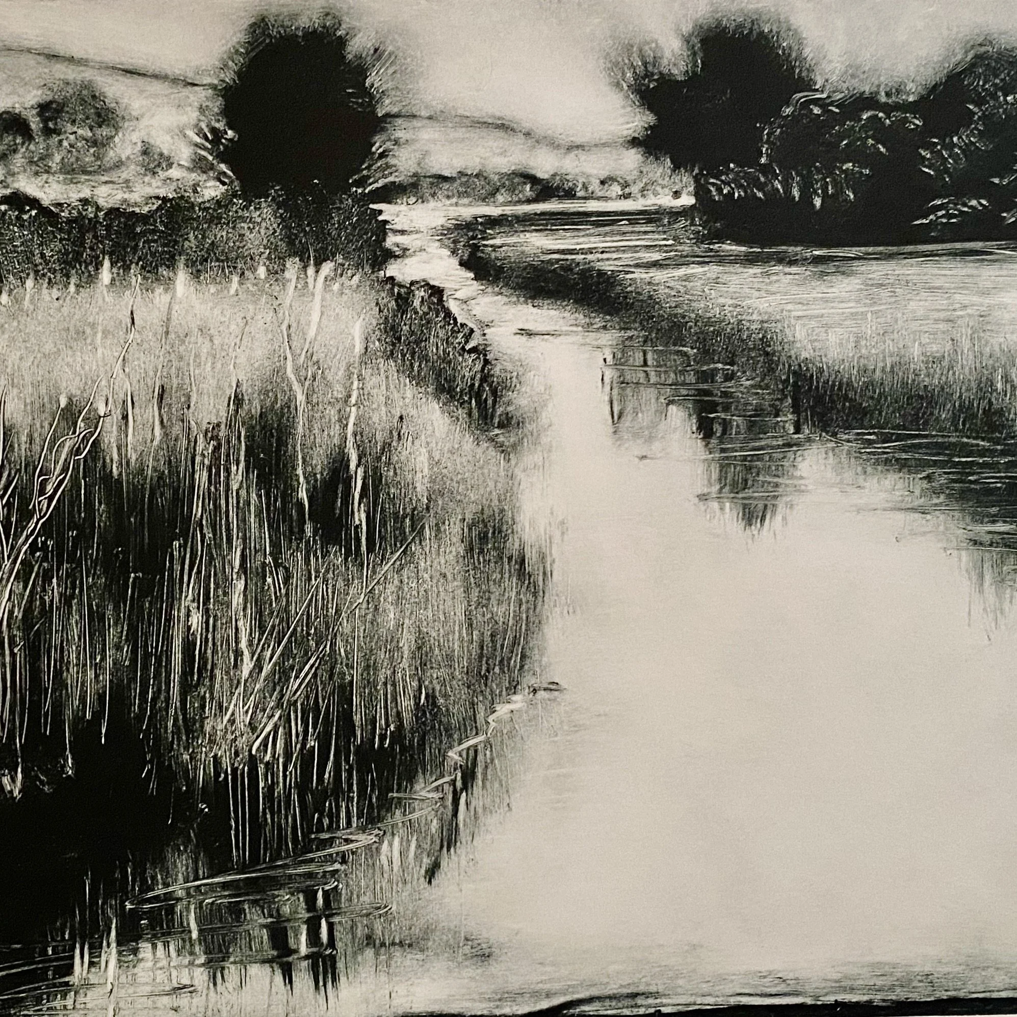 Summer Light on the Levels.jpeg