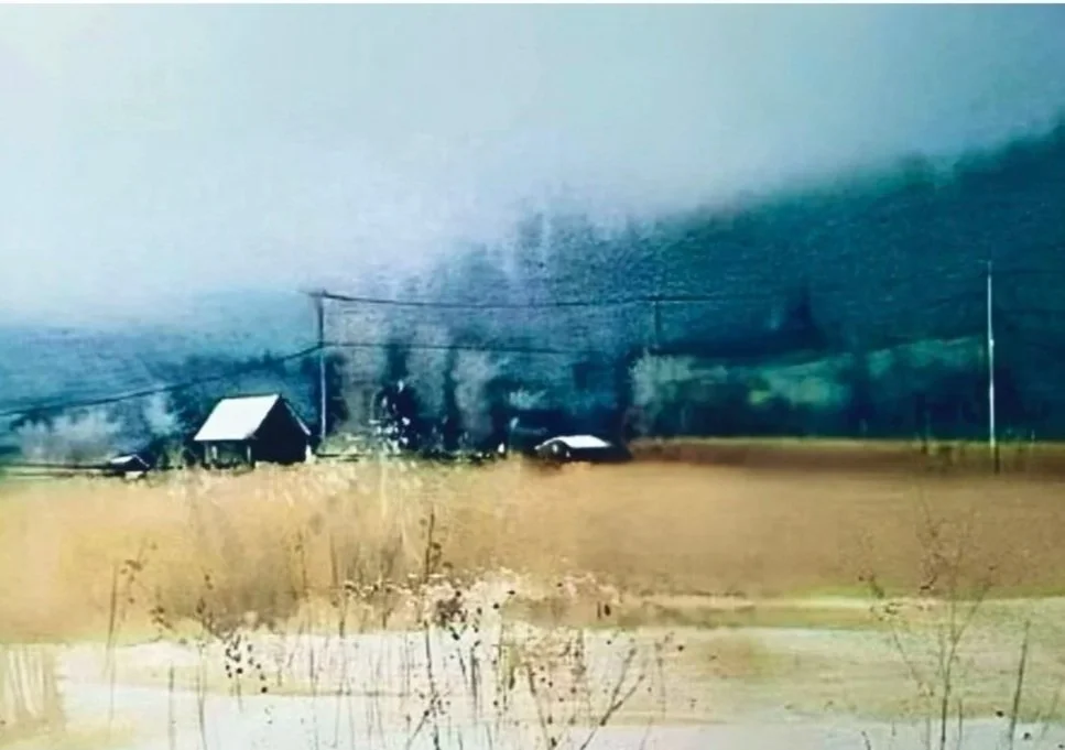 Watercolour- Autumn Workshop with Ellie Talay Minaei