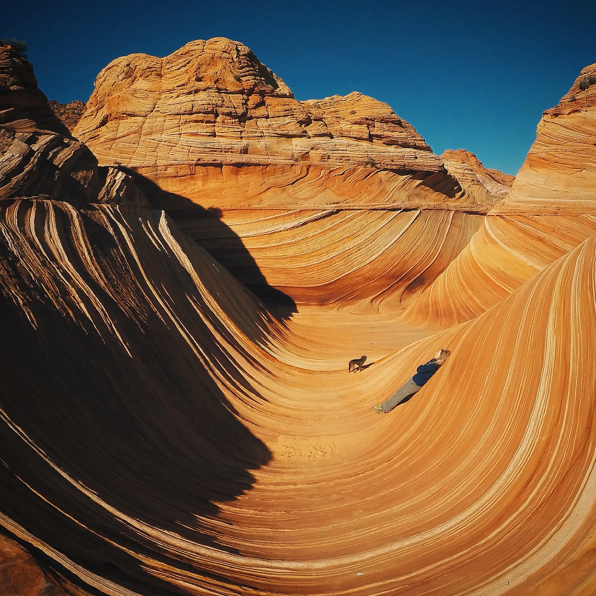Taking a float on the wave