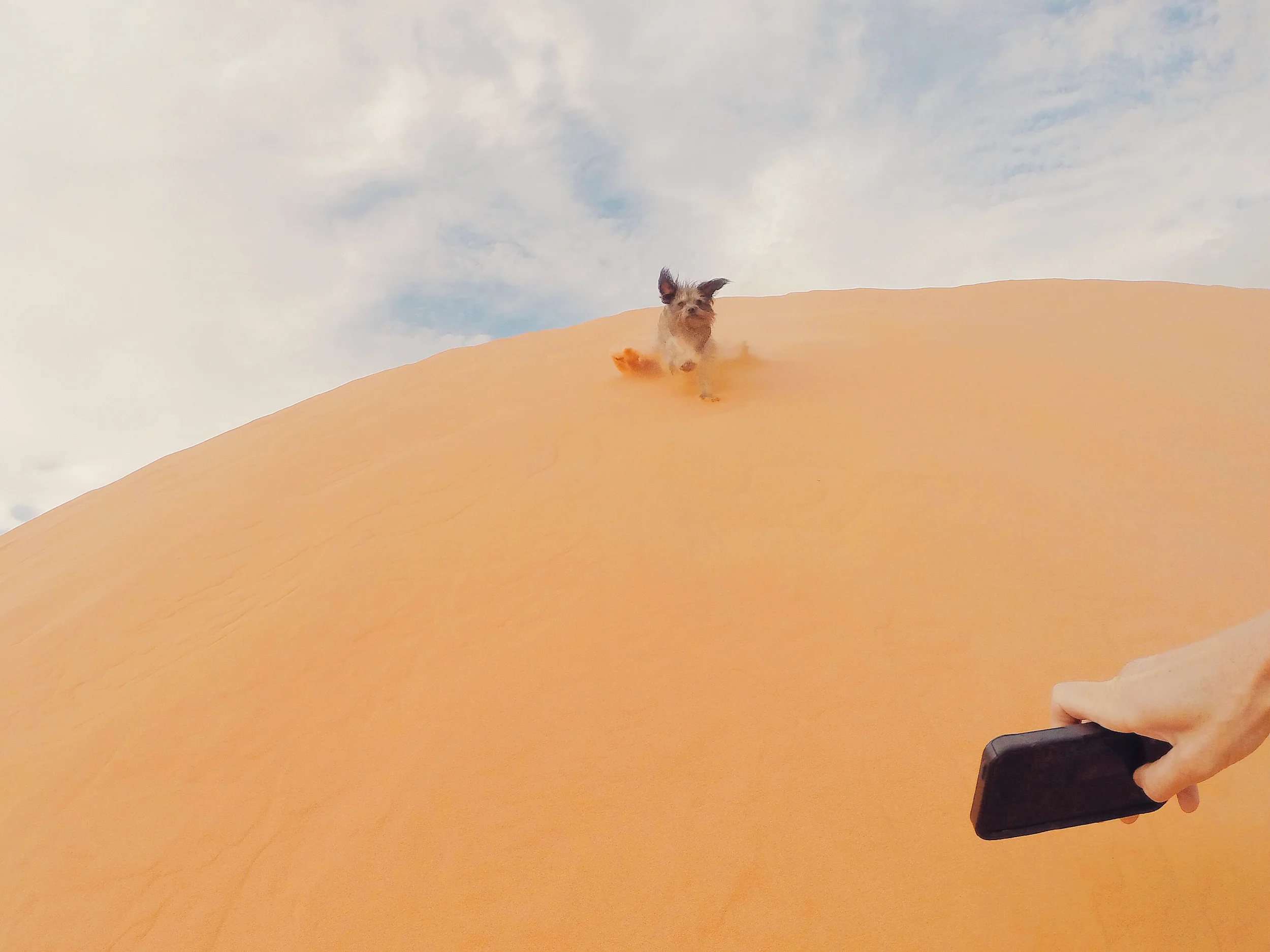 Max playing at pink coral sand dunes in Southern Utah. (Behind the scenes on how I get Max in action - I am documenting myself documenting Max) 