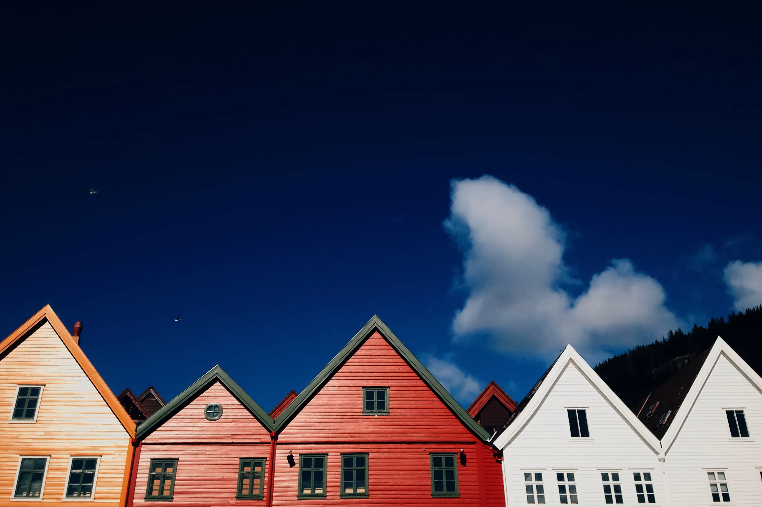 Bergen Rooftops