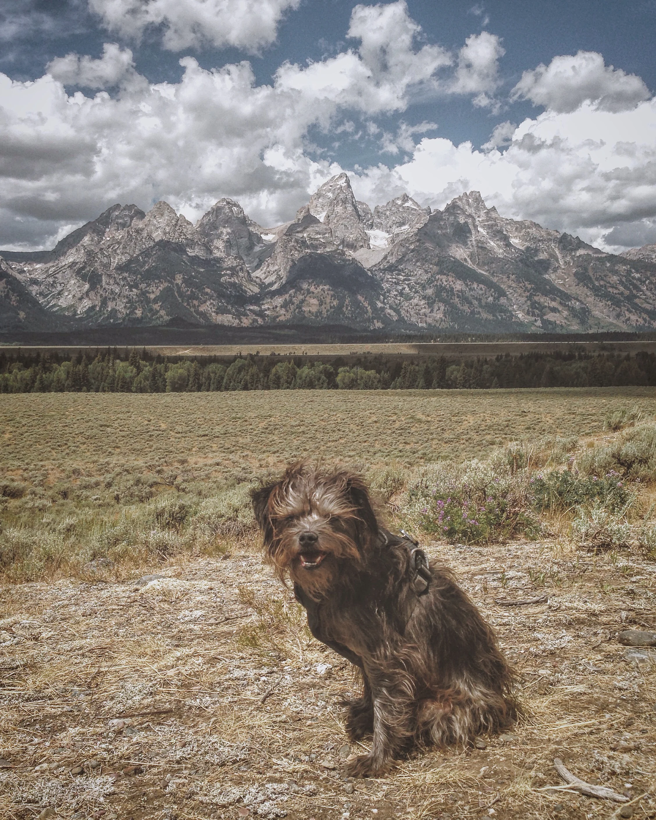 Max in front of the Tetons