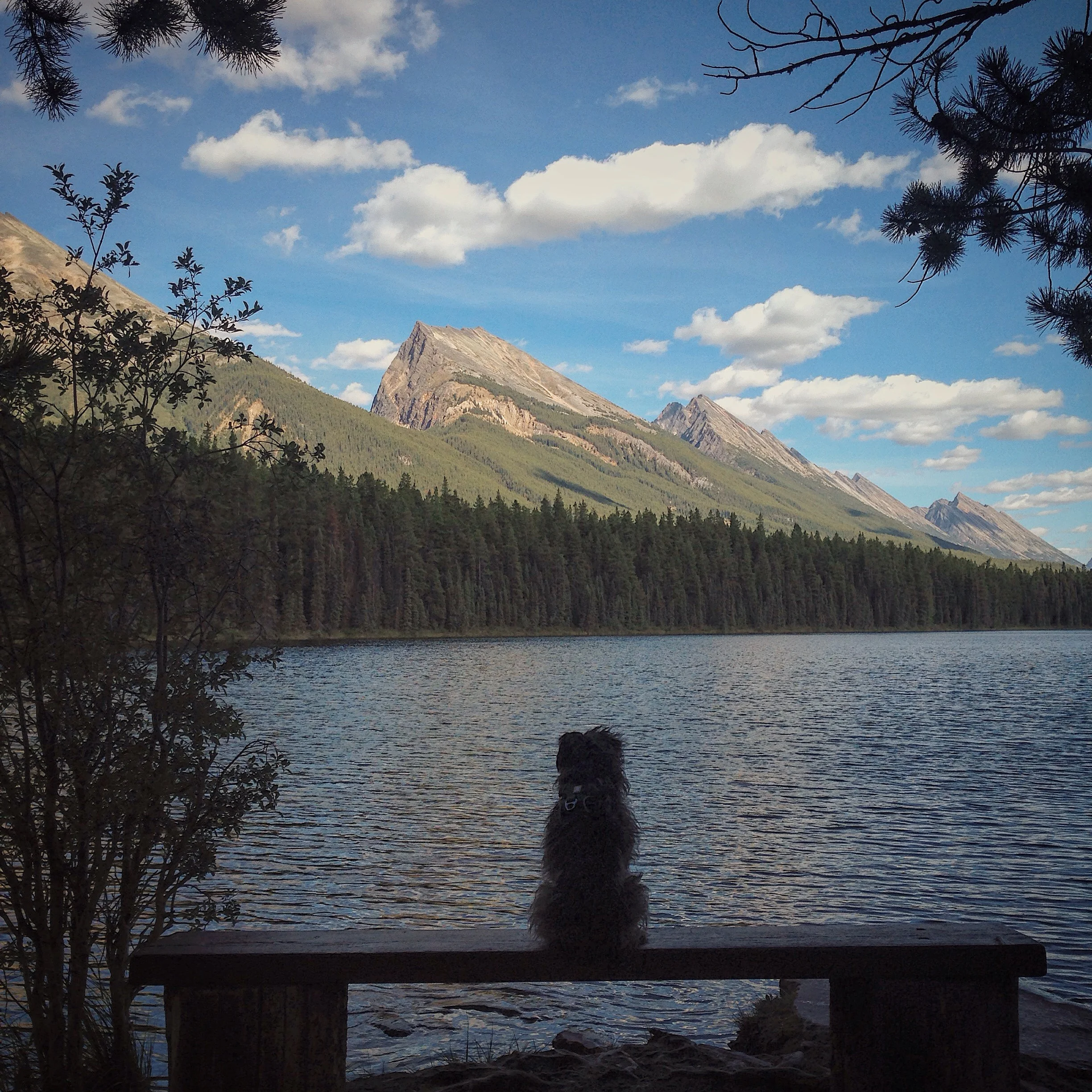 Max taking in the view at honeymoon lake