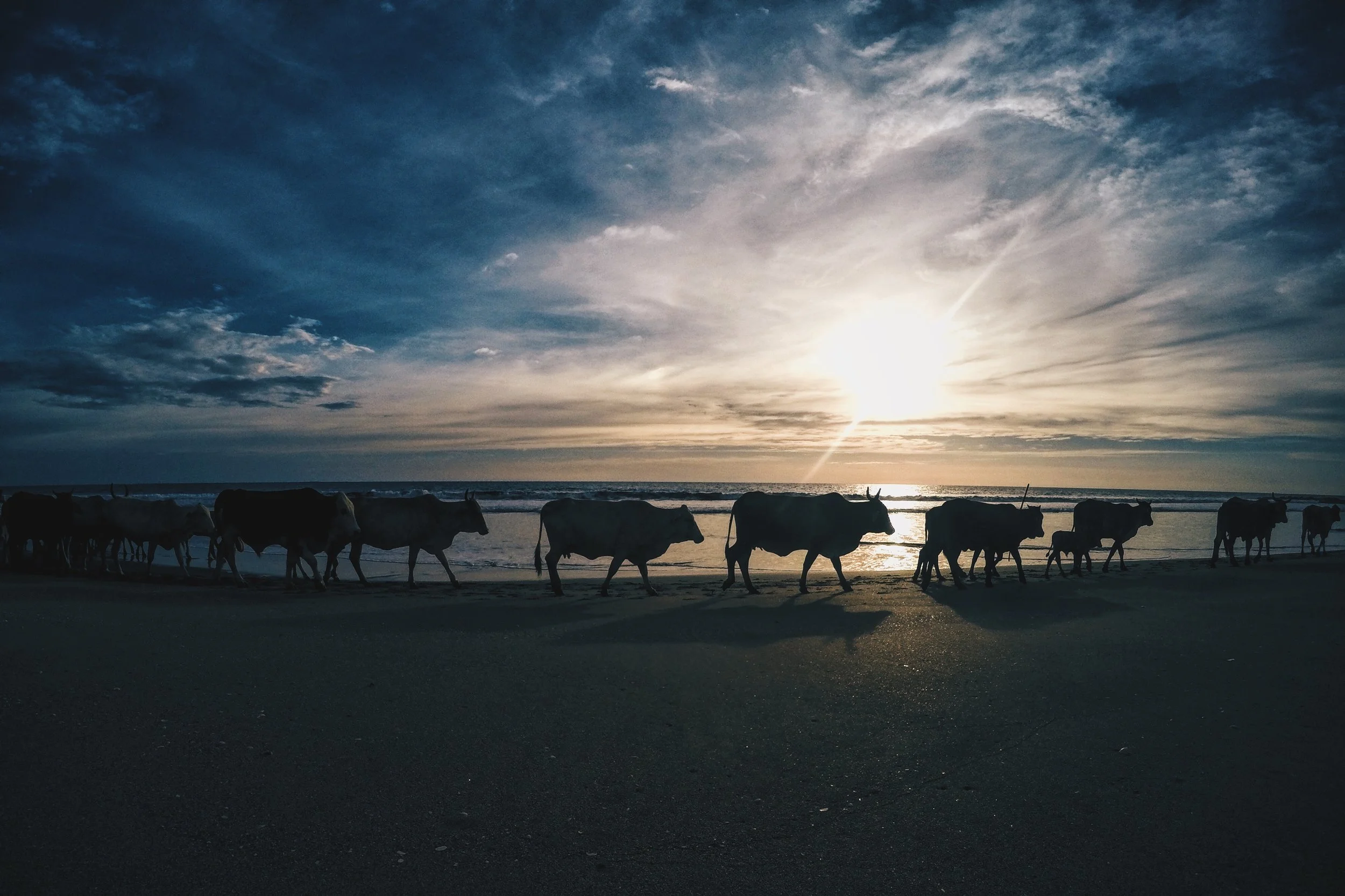 Locals enjoying a long walk on the beach