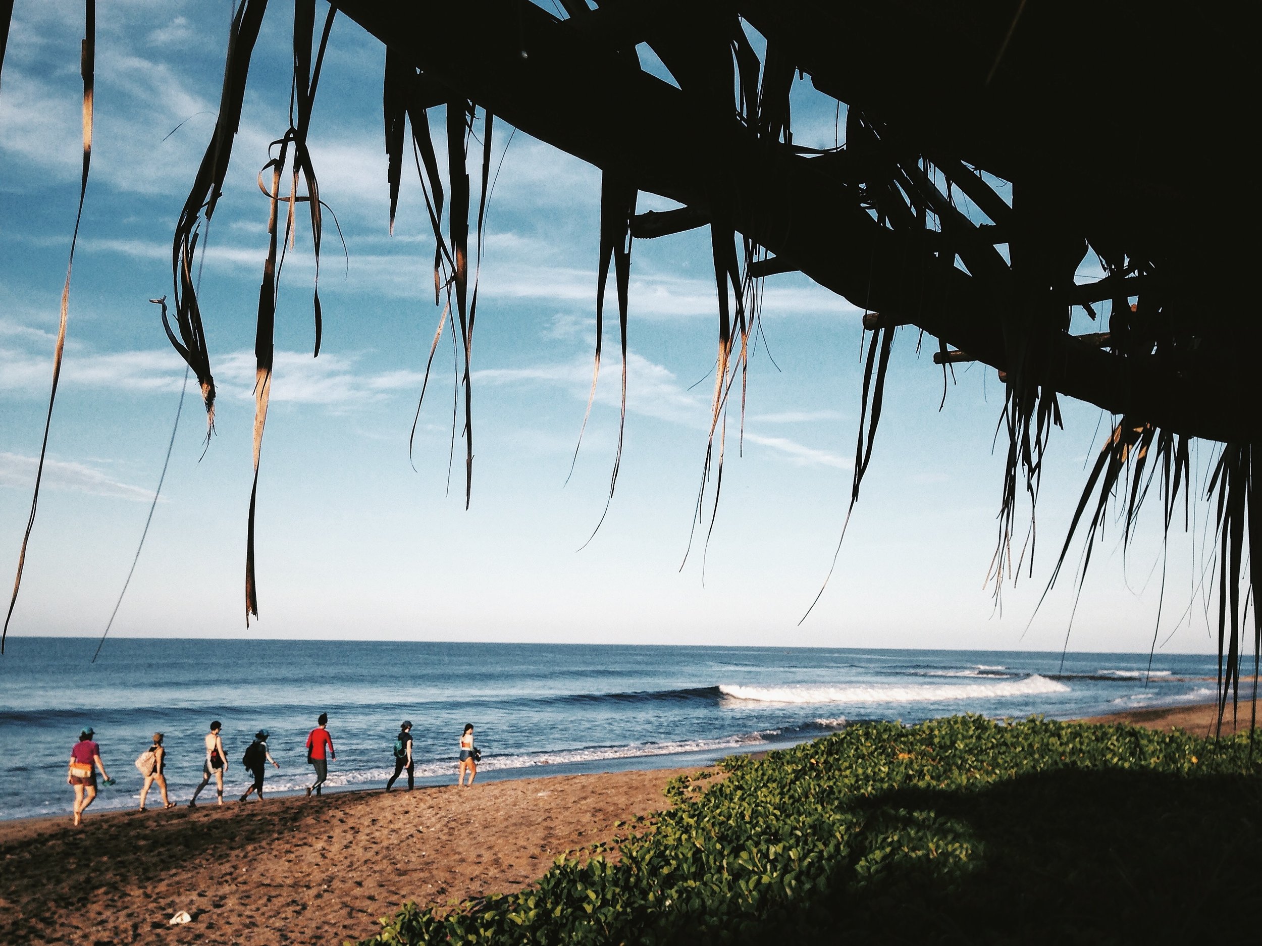 On our daily morning walk to surf
