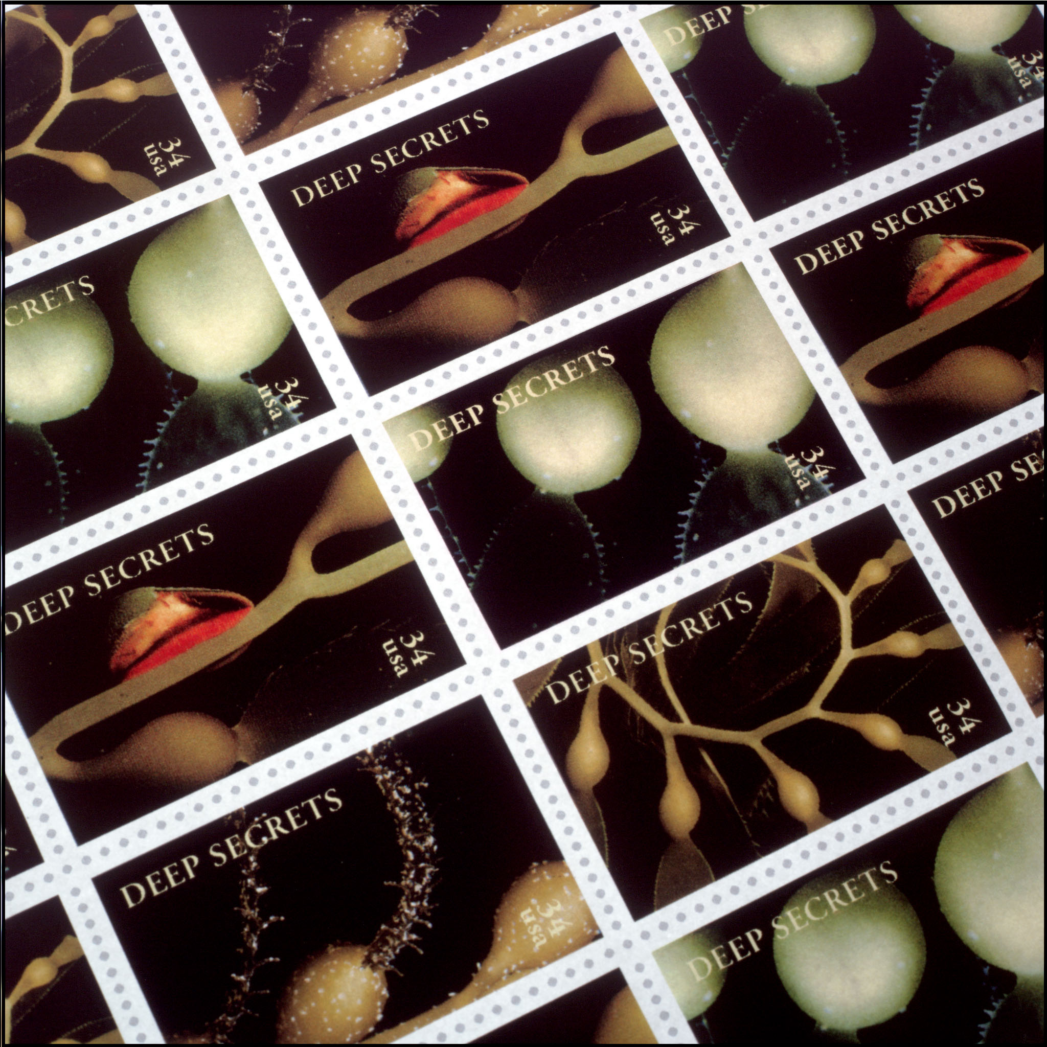 US Postal Stamp Design