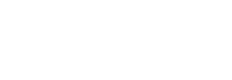 bonsaifocus_web.png