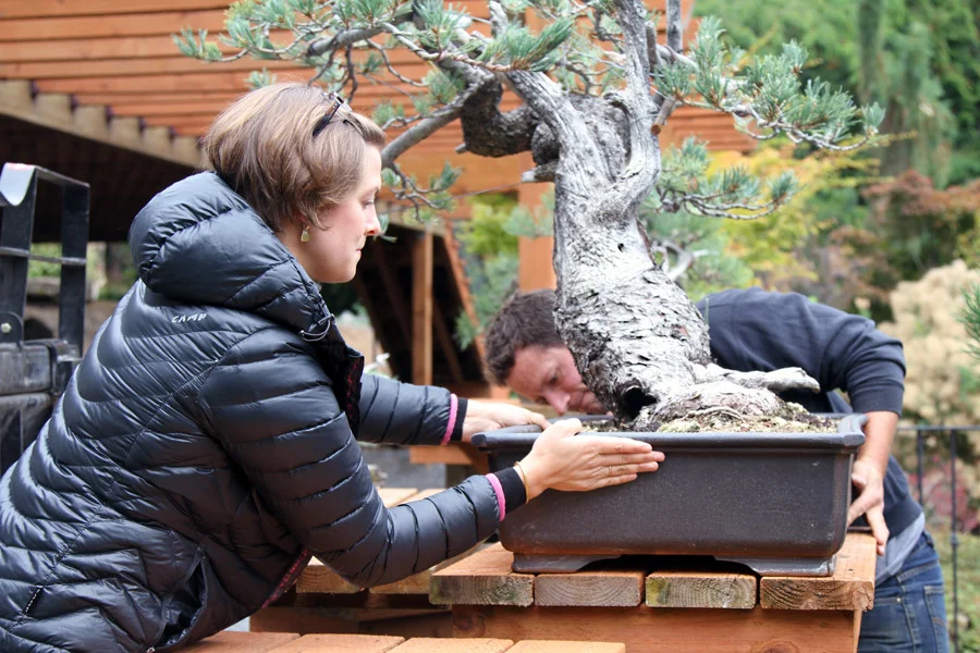 The Artisans Cup featured on OPB's State of Wonder