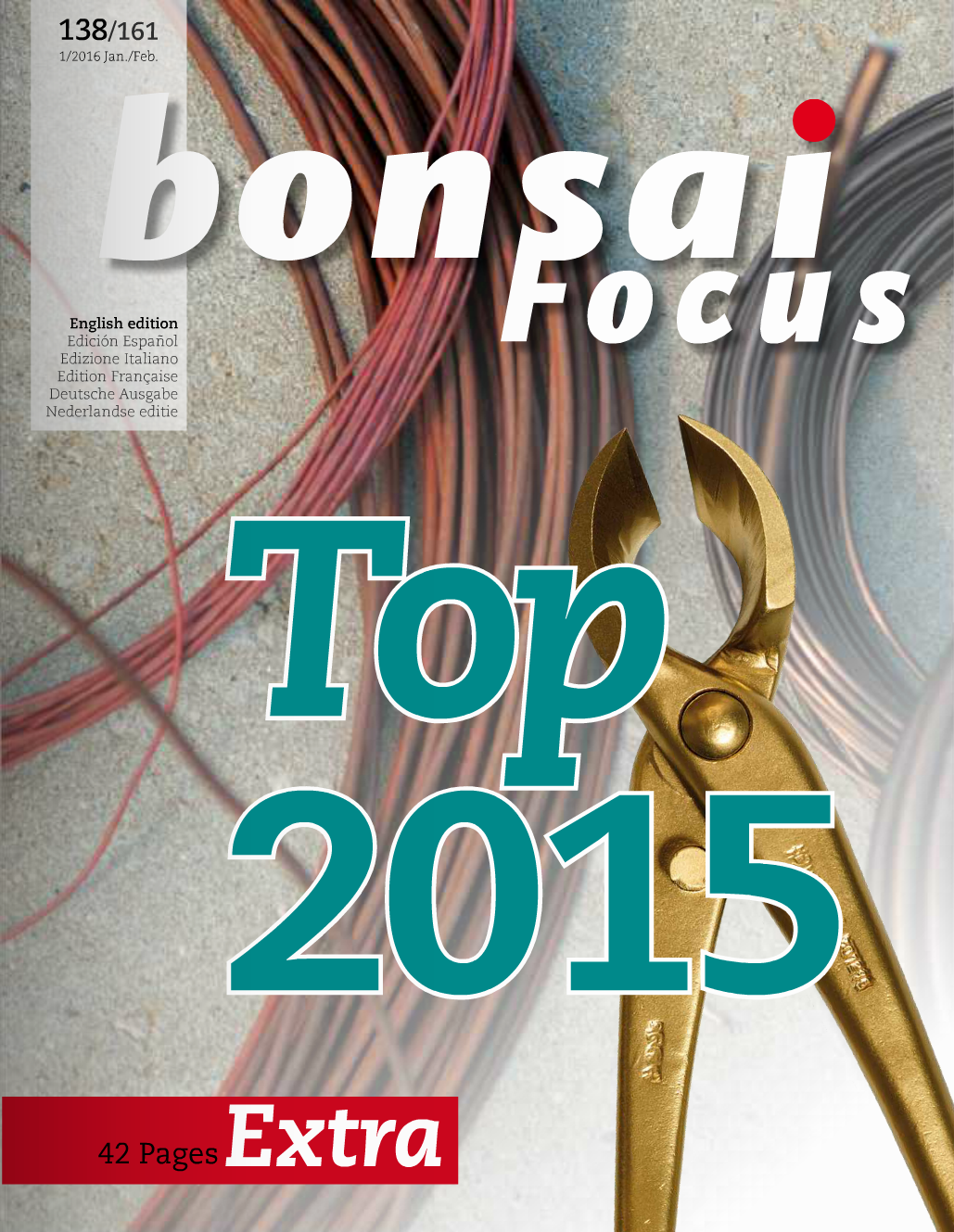 Bonsai_Focus_Cover.png