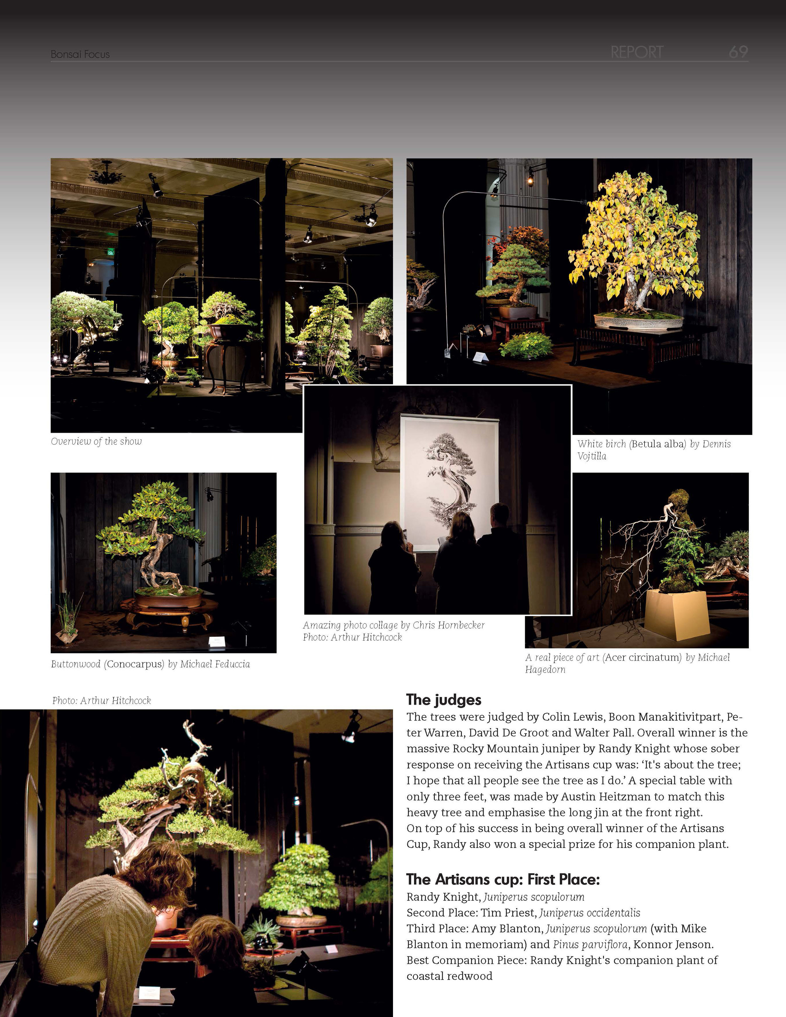 Bonsai_Focus_Page_2.jpg