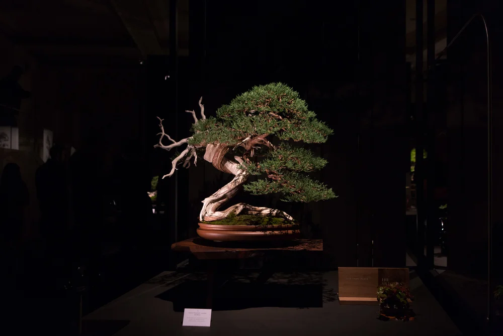 Featured on High Snobiety