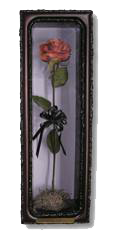 sb_rose_wh_sm.png