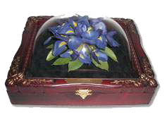 jb_Chris_Walker_2_sm_wh.png