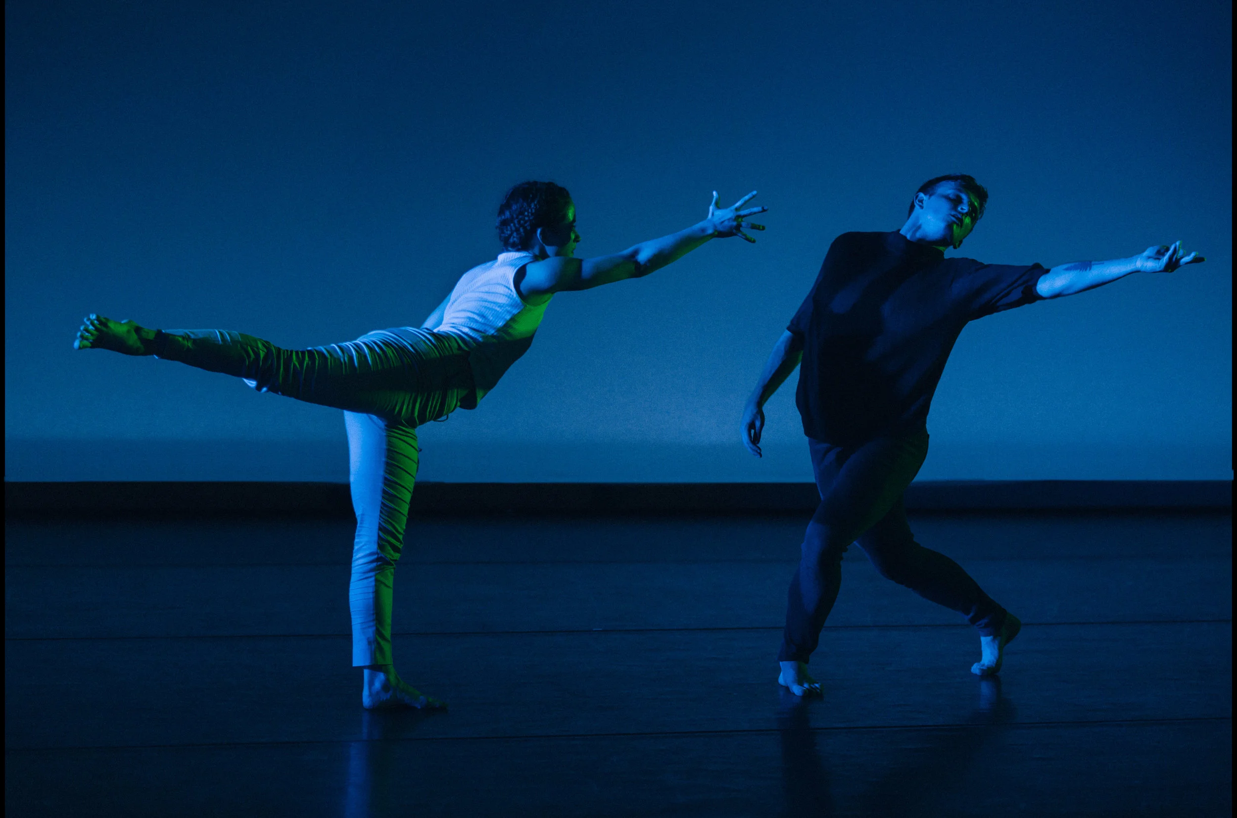 THE DROWNING PINE - Trailer