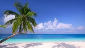 Spring Break Practices