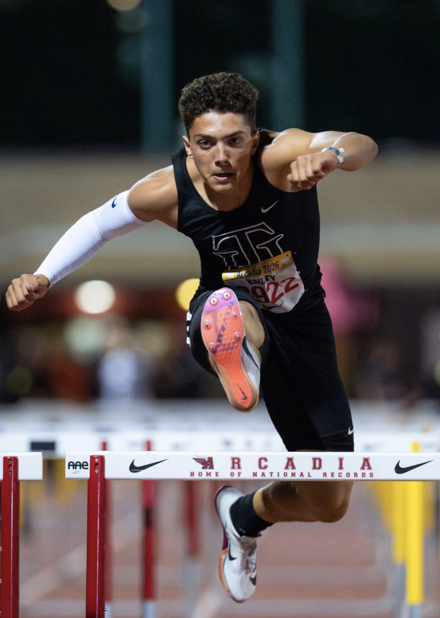 UPDATES FROM ARCADIA