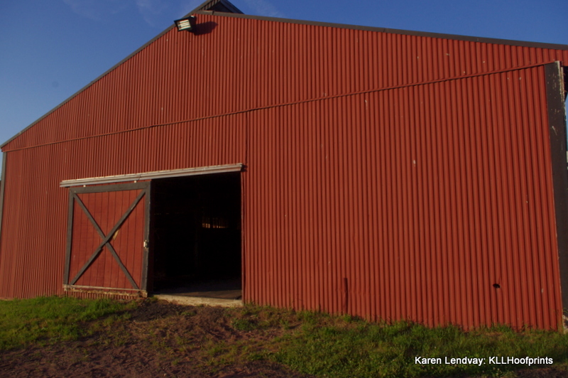 10-stall Barn - Back Entrance