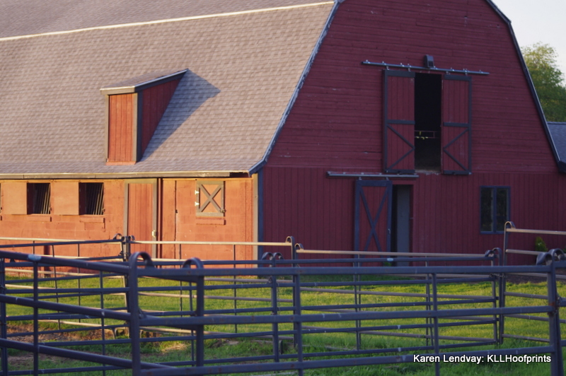 Cow Barn