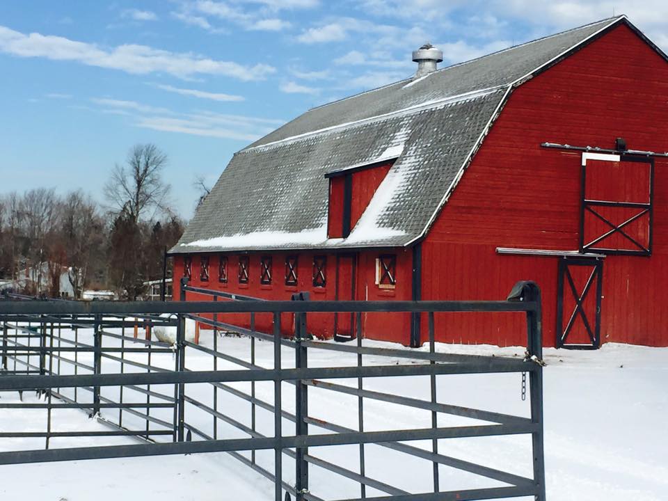 Cow Barn