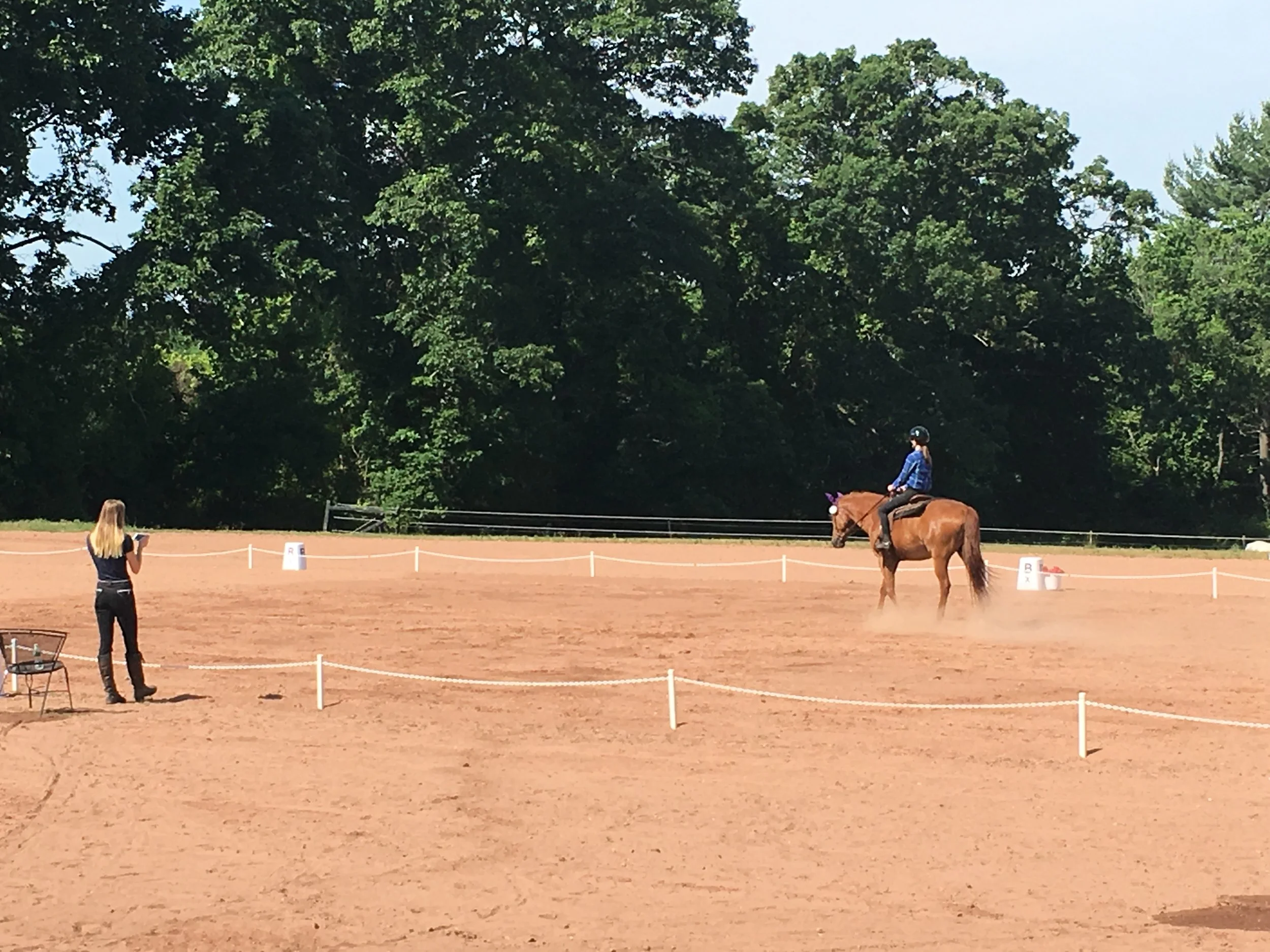 Fall Dressage Schooling Show