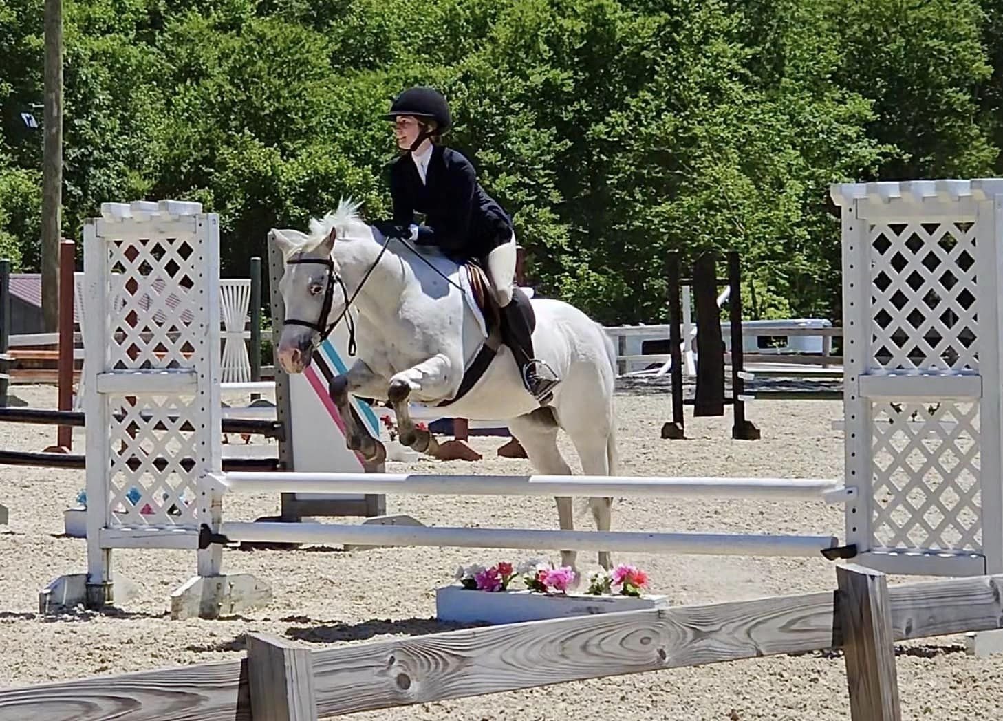 Lessons — Magnolia Equestrian Center