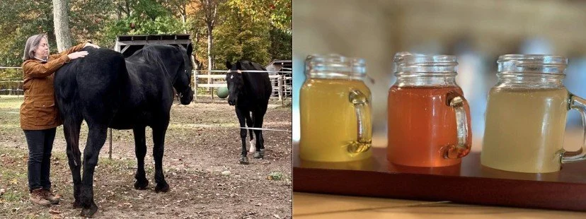 Animal Reading with Mary Brown and Cider Tasting with Rough Cut Cider House