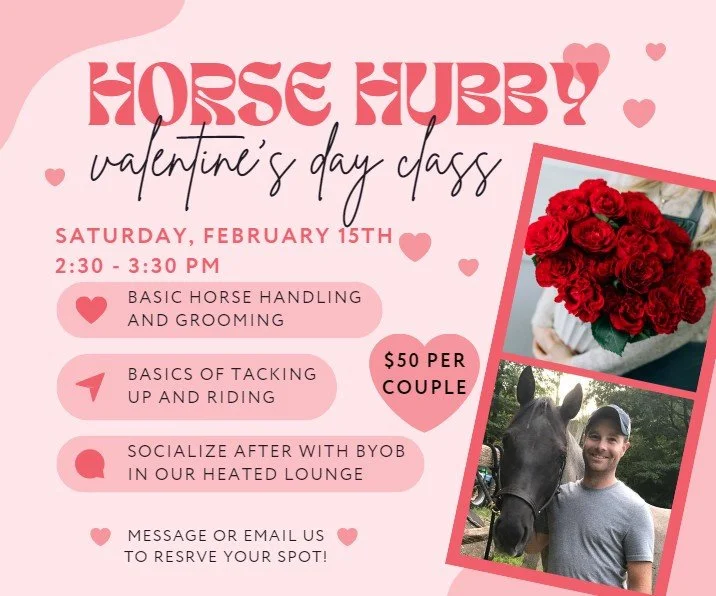 Equestrian Hubby Intro to Horsemanship
