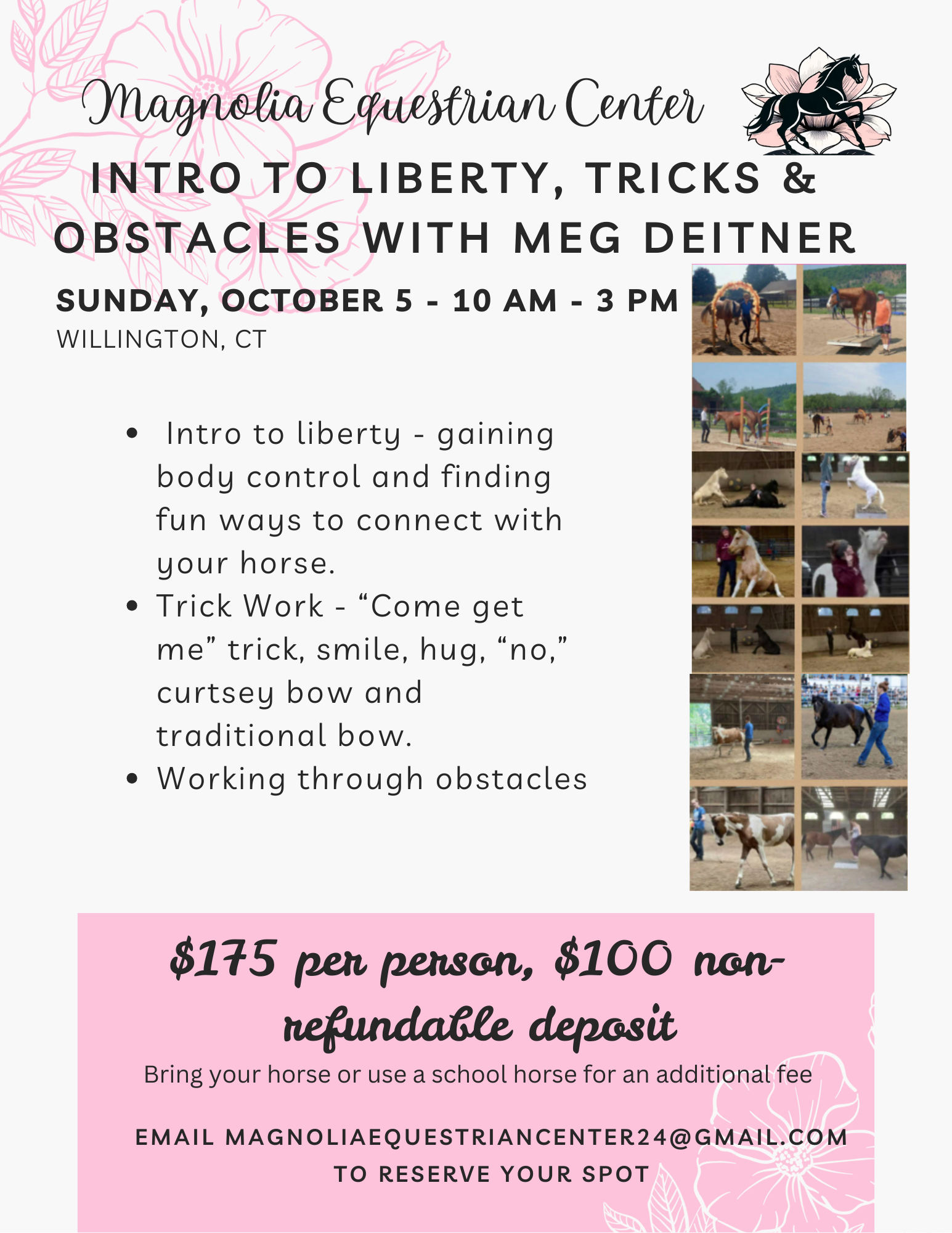 Intro to Liberty, Tricks and Versatility with Meg Deitner