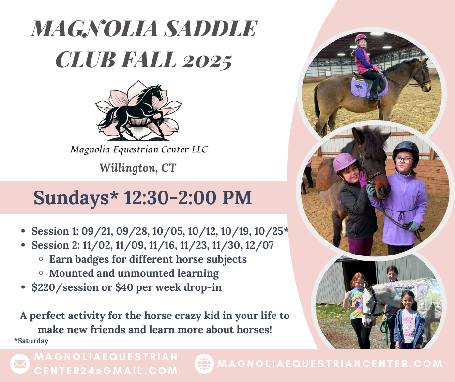 Saddle Club